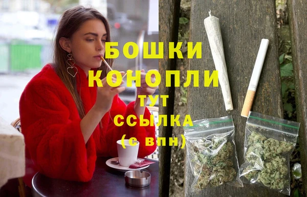 ECSTASY Армянск