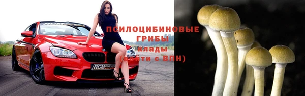ECSTASY Армянск