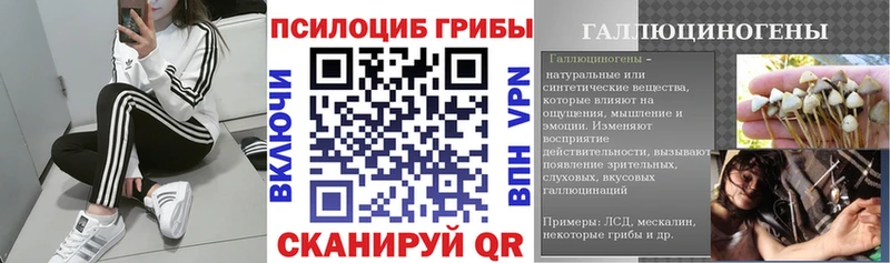 Галлюциногенные грибы Magic Shrooms  Белокуриха 